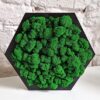 Handcrafted Dark Green Hexagon Moss Wall Art (19 x 17 cm)