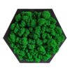 Handcrafted Dark Green Hexagon Moss Wall Art (19 x 17 cm)