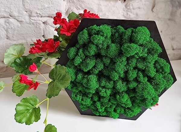 Handcrafted Dark Green Hexagon Moss Wall Art (19 x 17 cm)