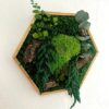 Hexagon Moss Art with Eucalyptus, 26 cm – No Care Needed