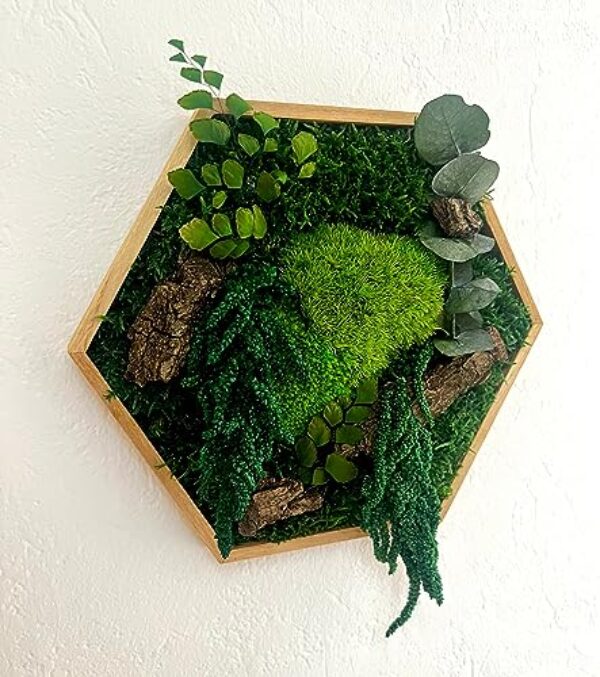 Hexagon Moss Art with Eucalyptus, 26 cm – No Care Needed