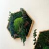 Hexagon Moss Art with Eucalyptus, 26 cm – No Care Needed