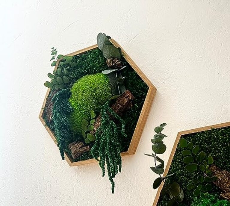 Hexagon Moss Art with Eucalyptus, 26 cm – No Care Needed