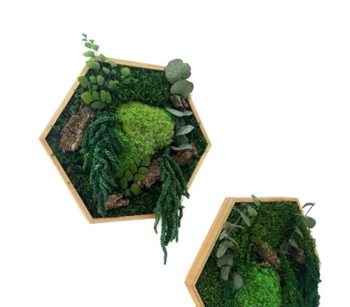 Hexagon Moss Art With Eucalyptus, 26 Cm – No Care Needed