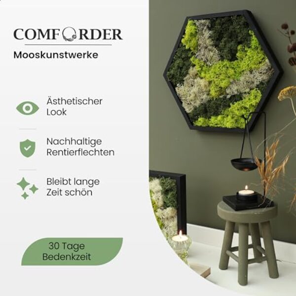 Sechseck Moos Wandkunst in schwarzem Rahmen (38 cm)