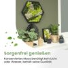Sechseck Moos Wandkunst in schwarzem Rahmen (38 cm)