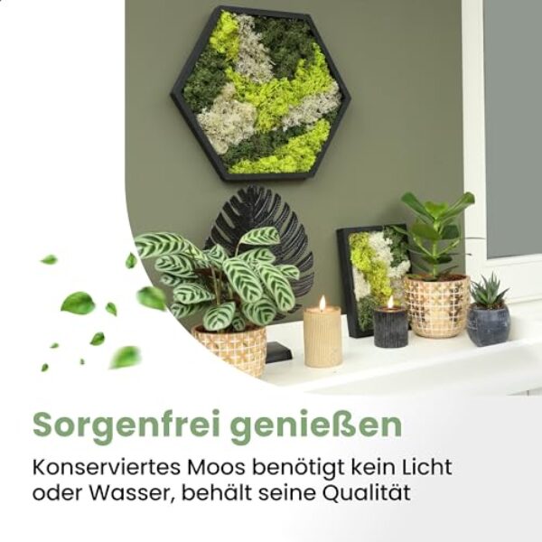 Sechseck Moos Wandkunst in schwarzem Rahmen (38 cm)