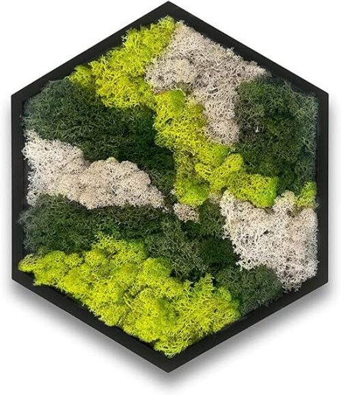 Sechseck Moos Wandkunst in schwarzem Rahmen (38 cm)