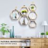 Sechseckige Wandregale - Rustikales Holz, 6er-Set