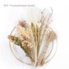 Pampas Grass DIY Wreath - 20 cm Pack of 2