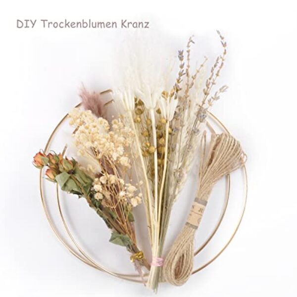 Pampas Grass DIY Wreath - 20 cm Pack of 2