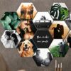 Personalized Hexagon Photo Collage - Modern Wall Decoration