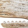 Rustic Wooden Whale Wall Sculpture - 29.5 Inches