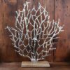 Seagrass Coral Decor - Silver/Brown, 41cm