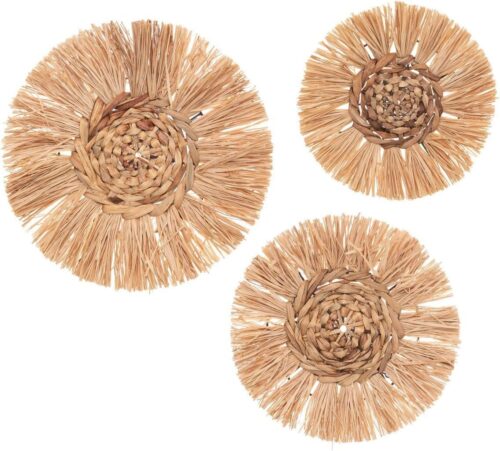 Set Of 3 Raffia Wall Decor - Beige
