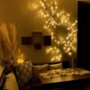 USB Willow Vine Fairy Lights with Remote, 144 LEDs